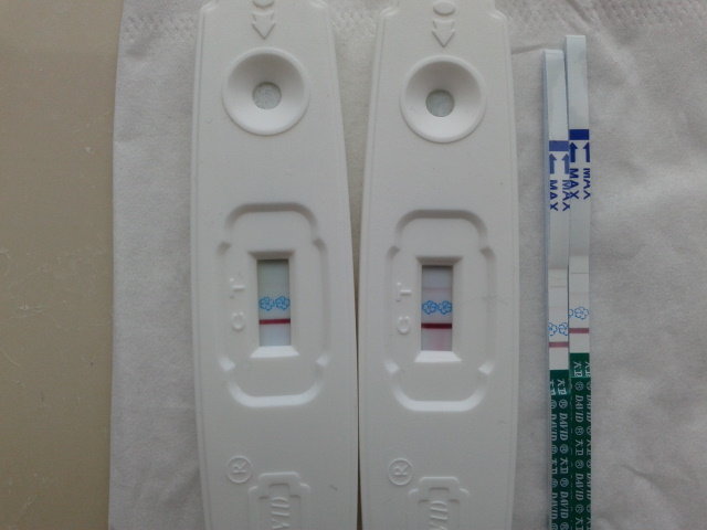 早早孕测出怀孕了-12月1号查精子畸形率98.5%