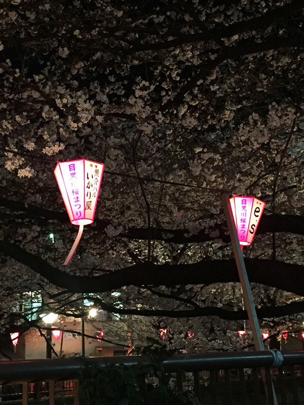 2015.03日本东京+箱根(看樱花)旅游贴~持续更