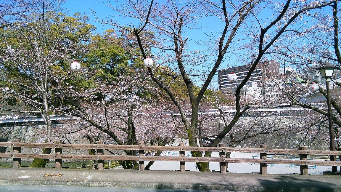 2015年3月日本北九州温泉、樱花、美食之旅(